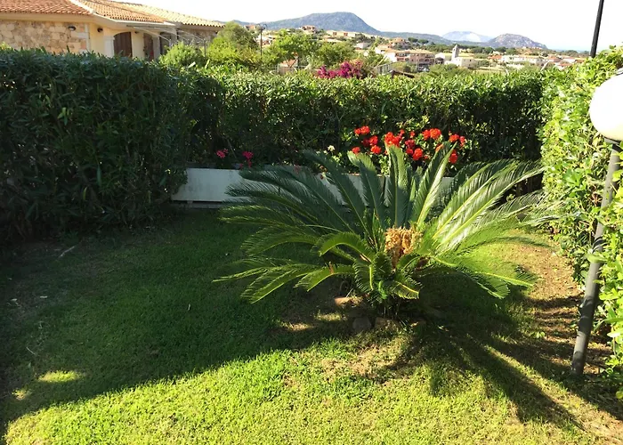 Panoramico Daire
